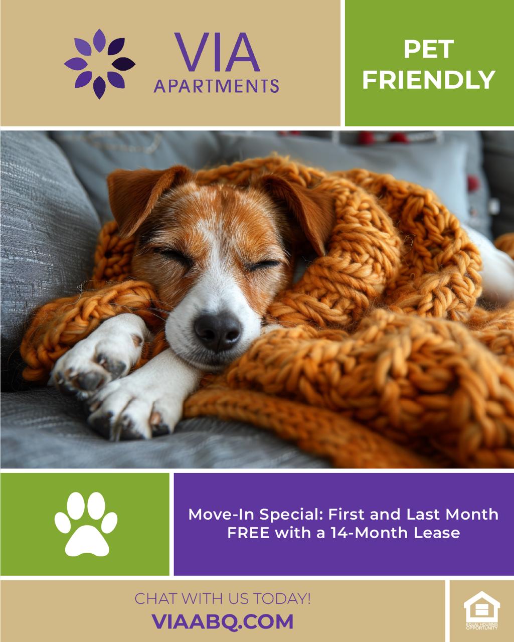 Via Apartments - Pet Friendly Move-In Special Advertisement - 5th Floor Media
